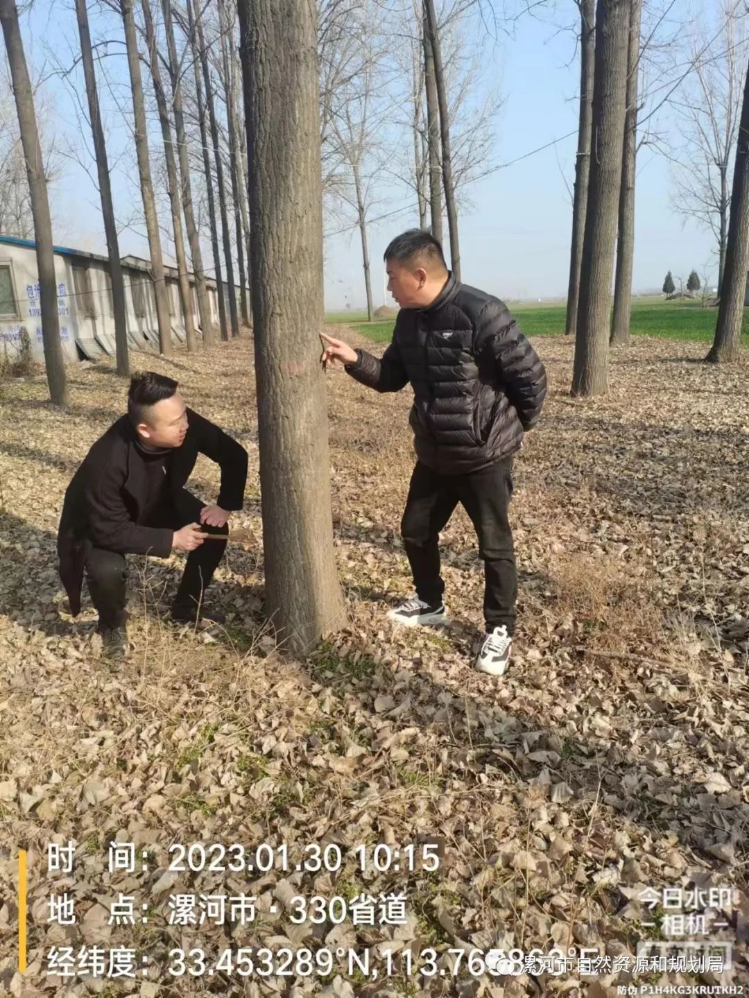 1.jpg 1.jpg